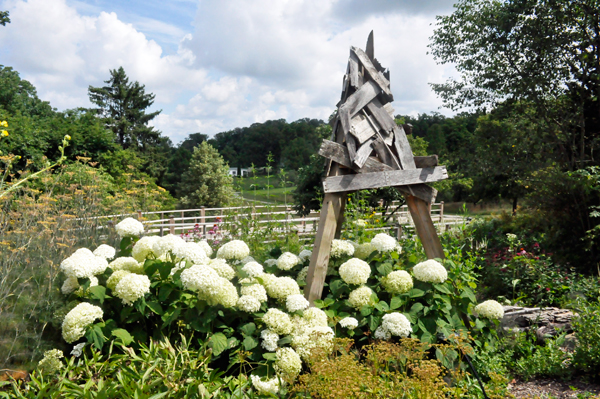 Dawes Arboretum flowers